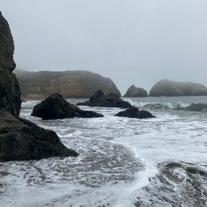 Meet your Posher, Shaheen